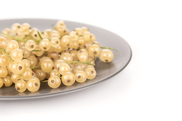Lot of whole fresh white currant berry blanka variety on grey ceramic plate isolated on white