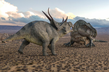 Fototapeta premium t-rex vs diabloceratops