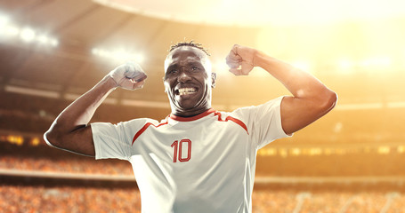 Soccer player celebrates a victory on the professional stadium while the sun shines.