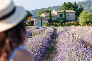 Beautiful view on Lavender fields in Provence, France. National park Luberon, Sault village. Lovely young Caucasian woman enjoying the blooming lavender fields walking.