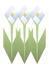 three white flowers of narcissus geometric rhombuses with green leaves stems objects isolated on white background