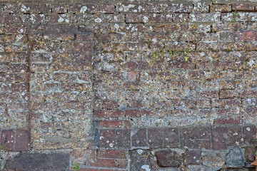 Old grey gray red brick wall with moss and lichen