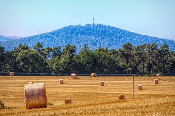 Blick auf den Krayenberg