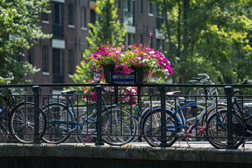 Fototapeta na wymiar Summer flowers on Amsterdam canal bridge