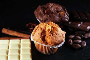 Chocolate muffin and nut muffin, homemade bakery on dark background.