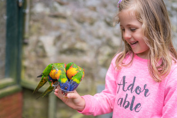 Cute girl feeding parrots in zoo © Pav-Pro Photography 