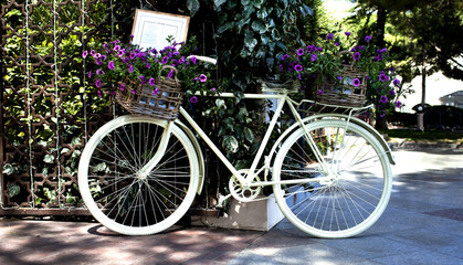 Fototapeta na wymiar Bike in the park