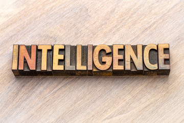 intelligence word abstract in vintage wood type