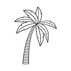 Tree palm isolated vector illustration graphic design