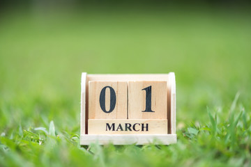 wood cube calendar on 1 march on green grass field , the begin of spring time