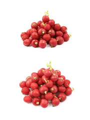 Pile of multiple radishes isolated