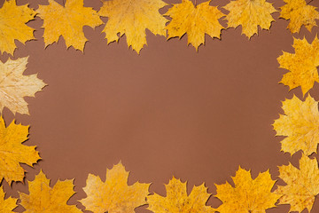 Naklejka na ściany i meble Frame of colorful autumn maple leaves closeup