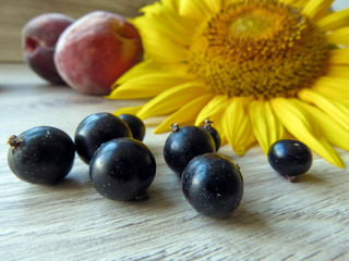 currant and peaches with sunflowers on the table