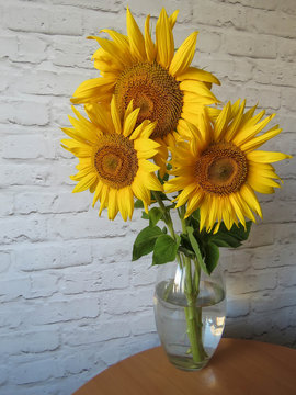 bouquet of sunflowers in a vase in the kitchen