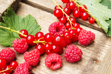 Berries of currants and raspberries on an old board. Red berries on an old board.