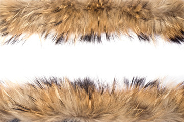 fur frame, red fur on white background