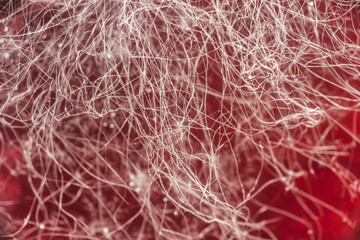 food mold on red drink, fungus development on food, microbiology macro abstract background