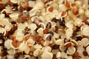 Surface coated with the quinoa seeds