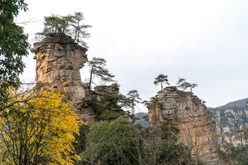 Obraz premium Landscape of Zhangjiajie. Taken from Old House Field. Located in Wulingyuan Scenic and Historic Interest Area which was designated a UNESCO World Heritage Site as well as AAAAA scenic area in china.
