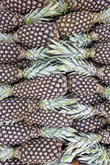 Pará, Brazil. Close up of pineapples exposed at street fair in amazon.