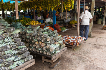 Pará, Brazil. Fresh pineapples exposed at street fair in the amazon.