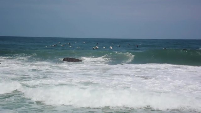 Birds flying through the waves of the ocean
