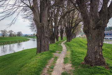 Footpath on a flood embankment of River Morava in Uherske Hradiste, small city in Czech Republic