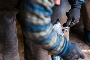 Blacksmith putting up the horse shoes