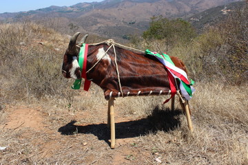 rubios de san miguel tlacotepec