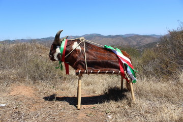 rubios de san miguel tlacotepec