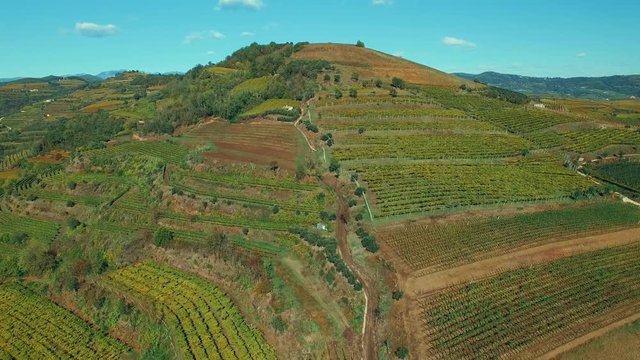 Aerial nature landscape beautiful hills fields and vineyards in Soave region, Italy.