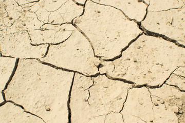 Cracked Dry Earth Top View