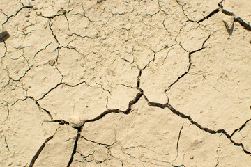Cracked Dry Earth Top View