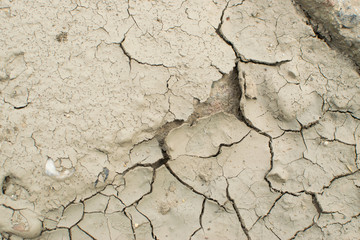Cracked Dry Earth Top View