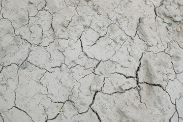 Cracked Dry Earth Top View