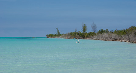Amazing view of Cayo Jutías beach, Cuba, on summer vacation