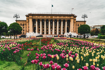 Almaty central park view with colourful tulips in the foreground.