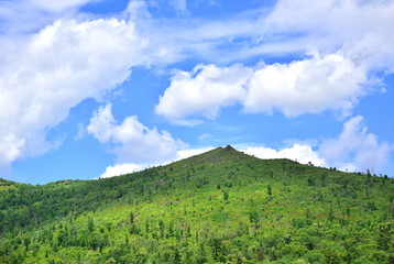 Green hill and blue sky. Green mountain top. On the hill a lot of different green vegetation, trees. Blue sky with white clouds. The mountains of Sikhote-Alin.