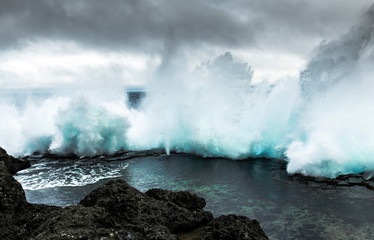 untamed ocean