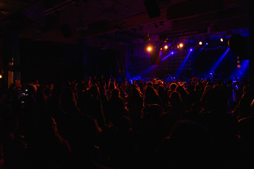 Fototapeta na wymiar Concert with backlit people