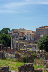 ROMAN FORUM LANDSCAPE