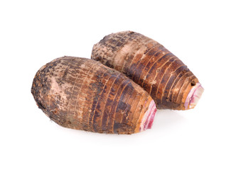 whole fresh taro on white background