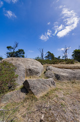 Cracked Granite vert