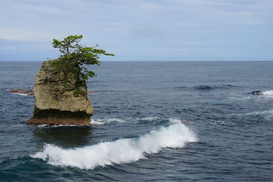 Tiny rocky island with a small tropical tree on top surrounded with blue sea water