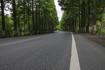 Landscape with curvy road at bright summer day