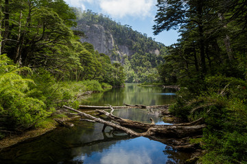 Paisajes en Huerquehue