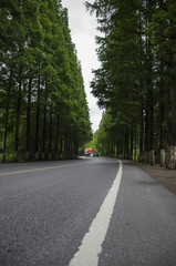 Landscape with curvy road at bright summer day