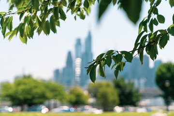 Philadelphia Skyline with Greenery in Foreground From Drexel Park
