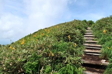 Fototapeta premium 日本の夏山を登る登山者