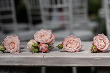 Boutonniere